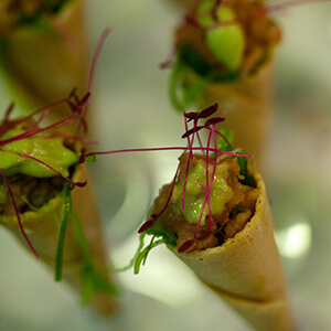 Hors doeuvre using a pastry cone